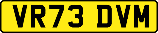 VR73DVM