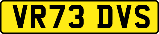 VR73DVS