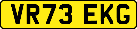 VR73EKG