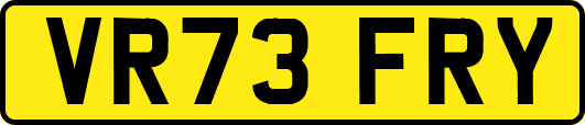 VR73FRY