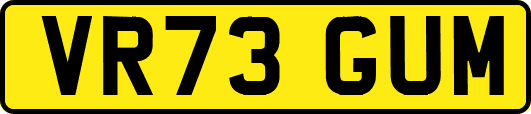 VR73GUM