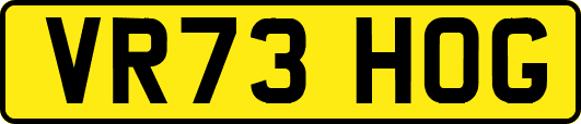 VR73HOG