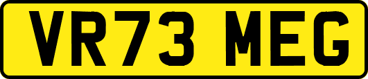 VR73MEG