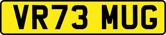 VR73MUG