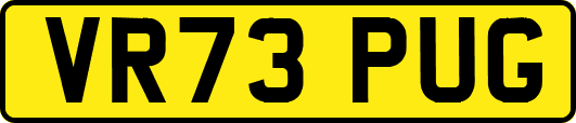 VR73PUG