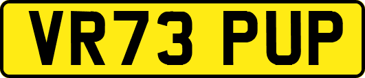 VR73PUP