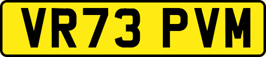 VR73PVM