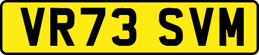 VR73SVM