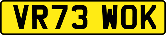 VR73WOK