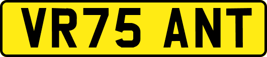 VR75ANT