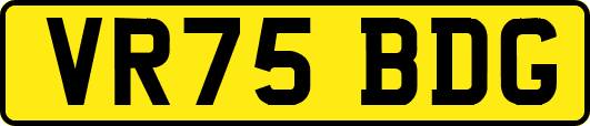 VR75BDG