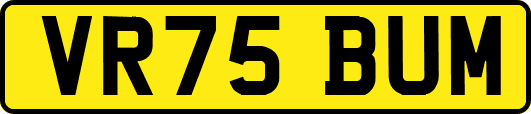 VR75BUM