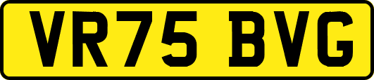 VR75BVG