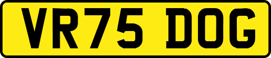 VR75DOG