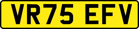 VR75EFV