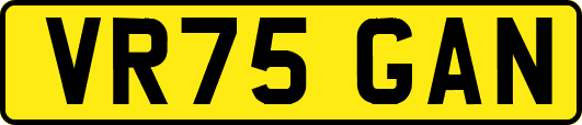 VR75GAN
