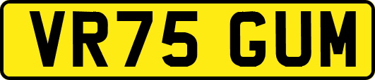VR75GUM