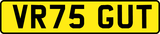 VR75GUT