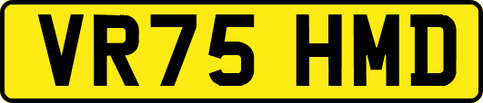 VR75HMD