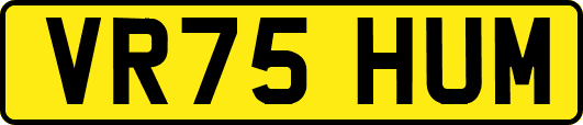 VR75HUM