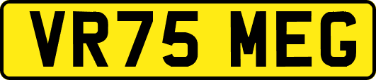 VR75MEG