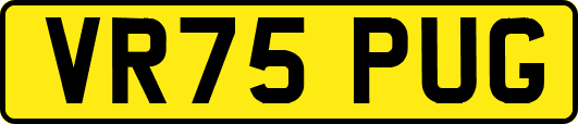 VR75PUG