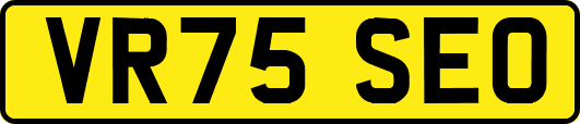 VR75SEO