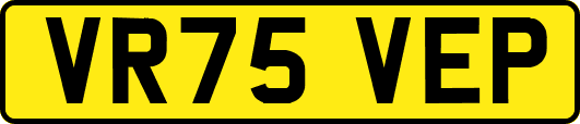 VR75VEP
