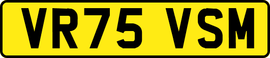 VR75VSM