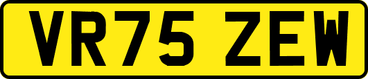 VR75ZEW