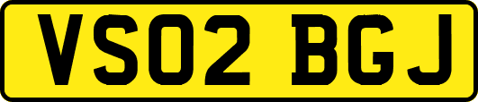 VS02BGJ