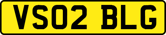 VS02BLG