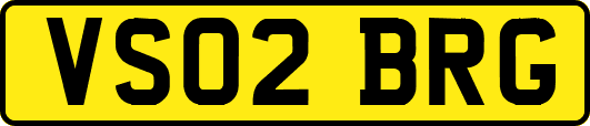 VS02BRG