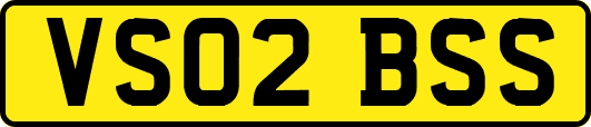 VS02BSS