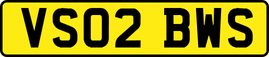 VS02BWS