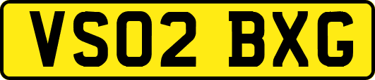 VS02BXG