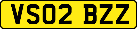 VS02BZZ