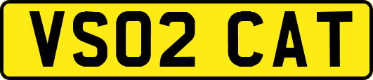 VS02CAT