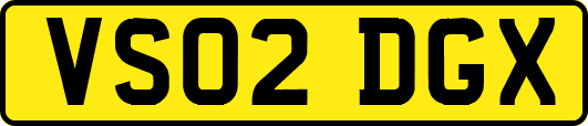 VS02DGX