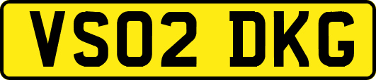 VS02DKG