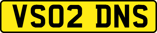 VS02DNS