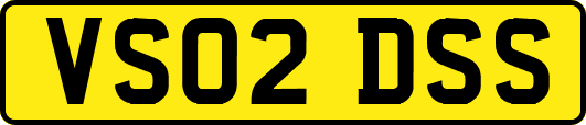 VS02DSS