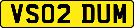 VS02DUM
