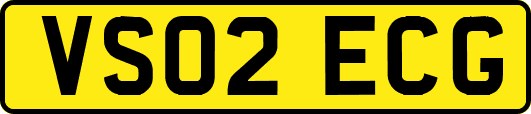 VS02ECG
