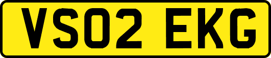 VS02EKG