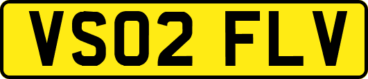 VS02FLV
