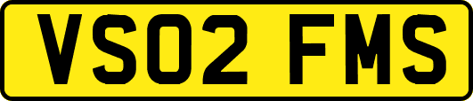 VS02FMS