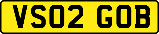 VS02GOB