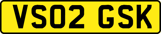 VS02GSK