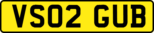 VS02GUB